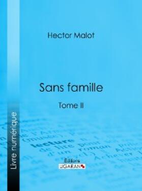 Malot | Sans famille | E-Book | www2.sack.de