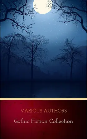 Authors |  Gothic Fiction Collection | eBook | Sack Fachmedien