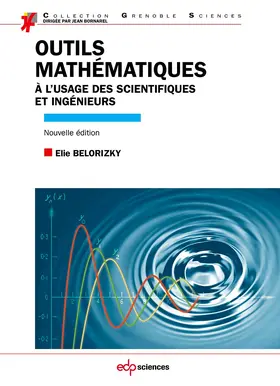 Belorizky |  Outils mathématiques à l'usage des scientifiques et ingénieurs | eBook | Sack Fachmedien