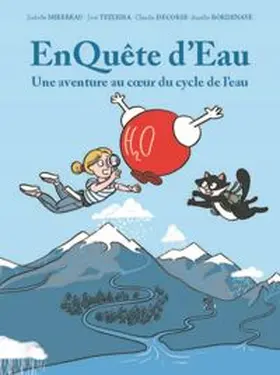Mirebeau / Teixeira / Decorse |  EnQuête d'eau | eBook | Sack Fachmedien
