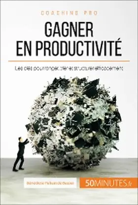 Palluat de Besset |  Gagner en productivité | eBook | Sack Fachmedien