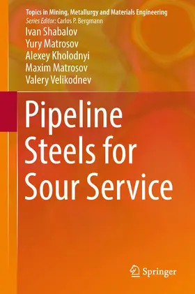 Shabalov / Matrosov / Kholodnyi |  Pipeline Steels for Sour Service | eBook | Sack Fachmedien