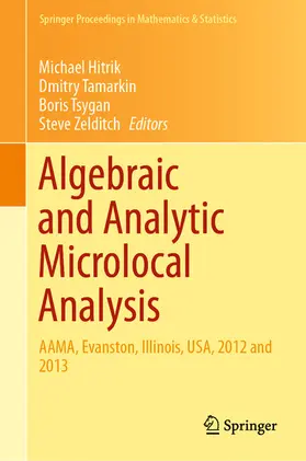 Hitrik / Tamarkin / Tsygan | Algebraic and Analytic Microlocal Analysis | E-Book | sack.de