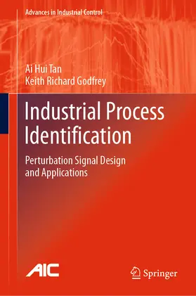 Tan / Godfrey |  Industrial Process Identification | eBook | Sack Fachmedien