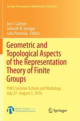 Carlson / Pevtsova / Iyengar |  Geometric and Topological Aspects of the Representation Theory of Finite Groups | Buch |  Sack Fachmedien