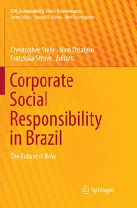 Stehr / Struve / Dziatzko |  Corporate Social Responsibility in Brazil | Buch |  Sack Fachmedien