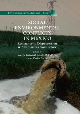 Tetreault / Lucio / McCulligh | Social Environmental Conflicts in Mexico | Buch | 978-3-030-08890-3 | sack.de