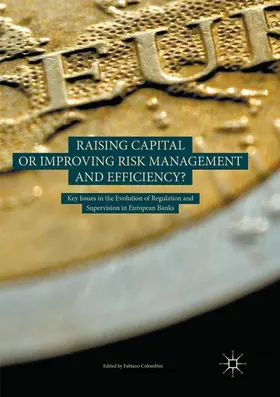 Colombini | Raising Capital or Improving Risk Management and Efficiency? | Buch | 978-3-030-10104-6 | sack.de