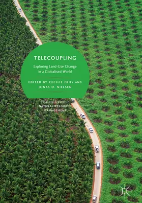 Friis / Nielsen |  Telecoupling | eBook | Sack Fachmedien