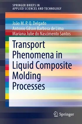Delgado / Barbosa de Lima / do Nascimento Santos | Transport Phenomena in Liquid Composite Molding Processes | E-Book | sack.de