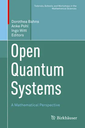 Bahns / Pohl / Witt |  Open Quantum Systems | eBook | Sack Fachmedien