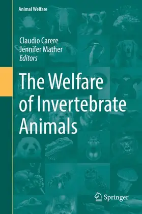 Mather / Carere |  The Welfare of Invertebrate Animals | Buch |  Sack Fachmedien