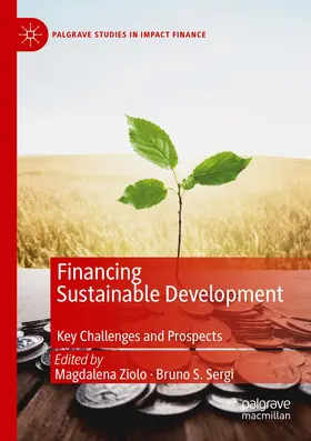 Sergi / Ziolo |  Financing Sustainable Development | Buch |  Sack Fachmedien