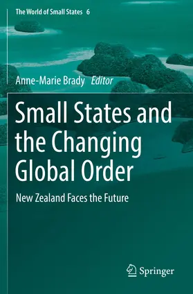 Brady |  Small States and the Changing Global Order | Buch |  Sack Fachmedien