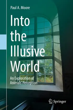 Moore |  Into the Illusive World | eBook | Sack Fachmedien