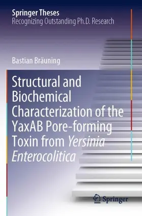 Bräuning |  Structural and Biochemical Characterization of the YaxAB Pore-forming Toxin from Yersinia Enterocolitica | Buch |  Sack Fachmedien