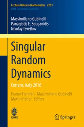 Gubinelli / Souganidis / Tzvetkov |  Singular Random Dynamics | eBook | Sack Fachmedien