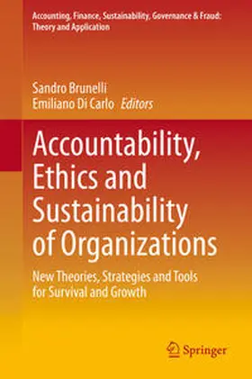 Di Carlo / Brunelli |  Accountability, Ethics and Sustainability of Organizations | Buch |  Sack Fachmedien