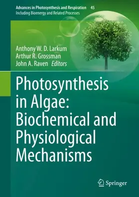 Larkum / Grossman / Raven | Photosynthesis in Algae: Biochemical and Physiological Mechanisms | Buch | 978-3-030-33396-6 | sack.de