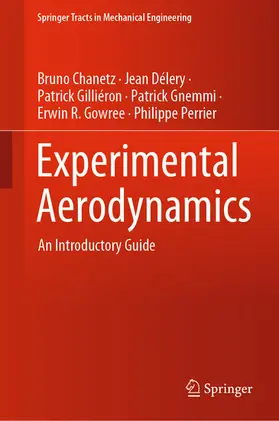 Chanetz / Délery / Gilliéron |  Experimental Aerodynamics | eBook | Sack Fachmedien