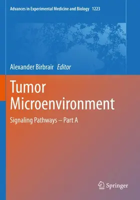 Birbrair |  Tumor Microenvironment | Buch |  Sack Fachmedien