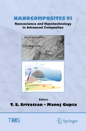 Gupta / Srivatsan |  Nanocomposites VI: Nanoscience and Nanotechnology in Advanced Composites | Buch |  Sack Fachmedien