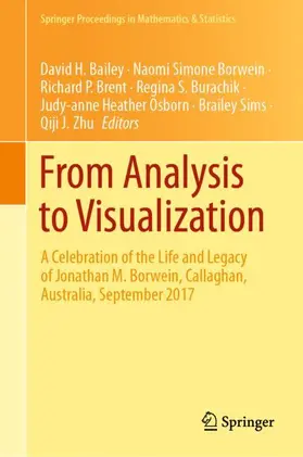 Bailey / Borwein / Brent |  From Analysis to Visualization | Buch |  Sack Fachmedien