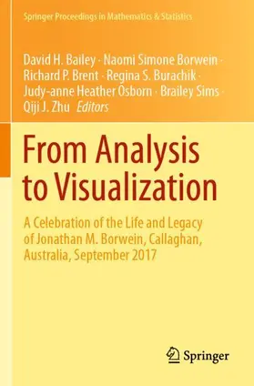 Bailey / Borwein / Brent |  From Analysis to Visualization | Buch |  Sack Fachmedien