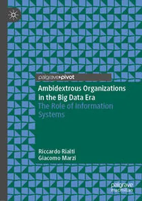 Rialti / Marzi |  Ambidextrous Organizations in the Big Data Era | eBook | Sack Fachmedien