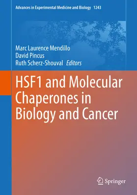 Mendillo / Pincus / Scherz-Shouval | HSF1 and Molecular Chaperones in Biology and Cancer | E-Book | sack.de