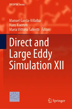 García-Villalba / Kuerten / Salvetti |  Direct and Large Eddy Simulation XII | eBook | Sack Fachmedien