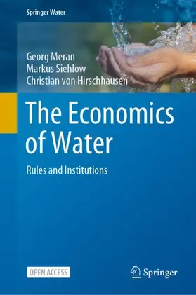 Meran / von Hirschhausen / Siehlow |  The Economics of Water | Buch |  Sack Fachmedien