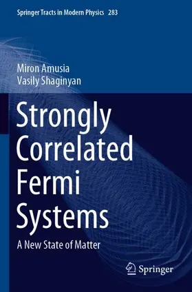 Shaginyan / Amusia |  Strongly Correlated Fermi Systems | Buch |  Sack Fachmedien