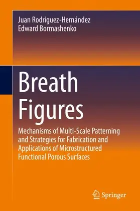 Bormashenko / Rodríguez-Hernández |  Breath Figures | Buch |  Sack Fachmedien