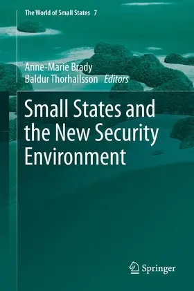 Thorhallsson / Brady |  Small States and the New Security Environment | Buch |  Sack Fachmedien