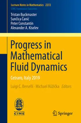 Buckmaster / Canic / Canic |  Progress in Mathematical Fluid Dynamics | eBook | Sack Fachmedien