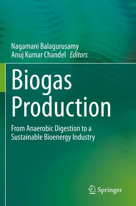 Chandel / Balagurusamy |  Biogas Production | Buch |  Sack Fachmedien