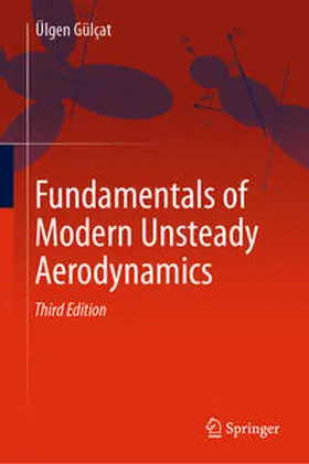 Gülçat | Fundamentals of Modern Unsteady Aerodynamics | E-Book | sack.de