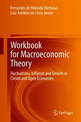 Barbosa / de Lima Junior |  Workbook for Macroeconomic Theory | eBook | Sack Fachmedien