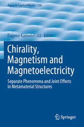 Kamenetskii |  Chirality, Magnetism and Magnetoelectricity | Buch |  Sack Fachmedien