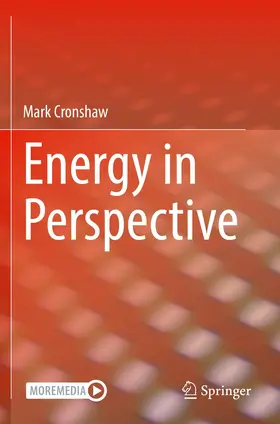 Cronshaw | Energy in Perspective | Buch | 978-3-030-63543-5 | www2.sack.de