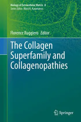 Ruggiero |  The Collagen Superfamily and Collagenopathies | eBook | Sack Fachmedien