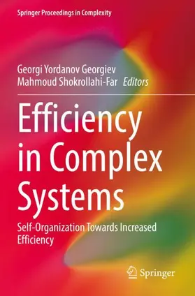 Shokrollahi-Far / Georgiev |  Efficiency in Complex Systems | Buch |  Sack Fachmedien