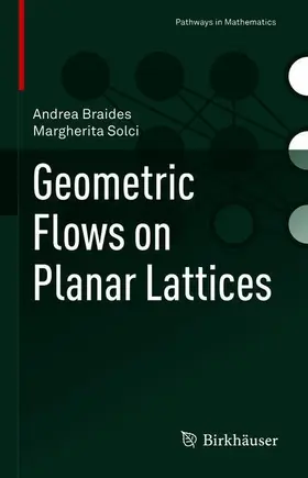 Solci / Braides |  Geometric Flows on Planar Lattices | Buch |  Sack Fachmedien