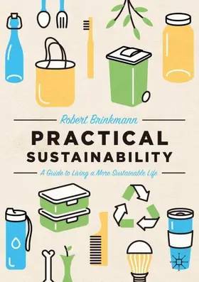 Brinkmann |  Practical Sustainability | Buch |  Sack Fachmedien