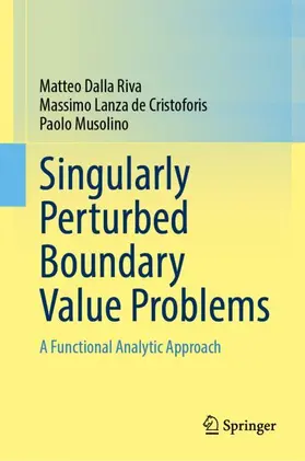 Dalla Riva / Musolino / Lanza de Cristoforis |  Singularly Perturbed Boundary Value Problems | Buch |  Sack Fachmedien