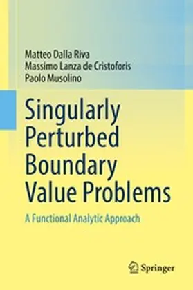 Dalla Riva / Lanza de Cristoforis / Musolino | Singularly Perturbed Boundary Value Problems | E-Book | sack.de