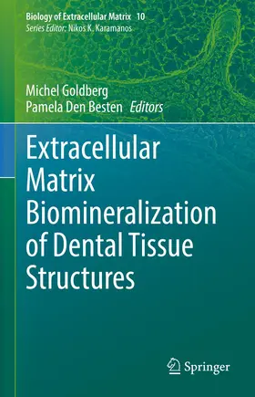 Goldberg / Den Besten |  Extracellular Matrix Biomineralization of Dental Tissue Structures | Buch |  Sack Fachmedien