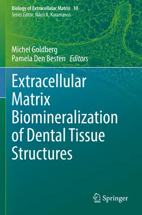 Goldberg / Den Besten |  Extracellular Matrix Biomineralization of Dental Tissue Structures | Buch |  Sack Fachmedien
