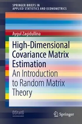 Zagidullina | High-Dimensional Covariance Matrix Estimation | E-Book | sack.de